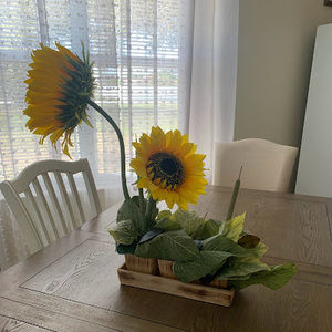 Meet your Posher, Sarie